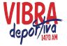 58556_vibra-radio-1470.png