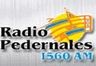 82672_1560-am-pedernales.png